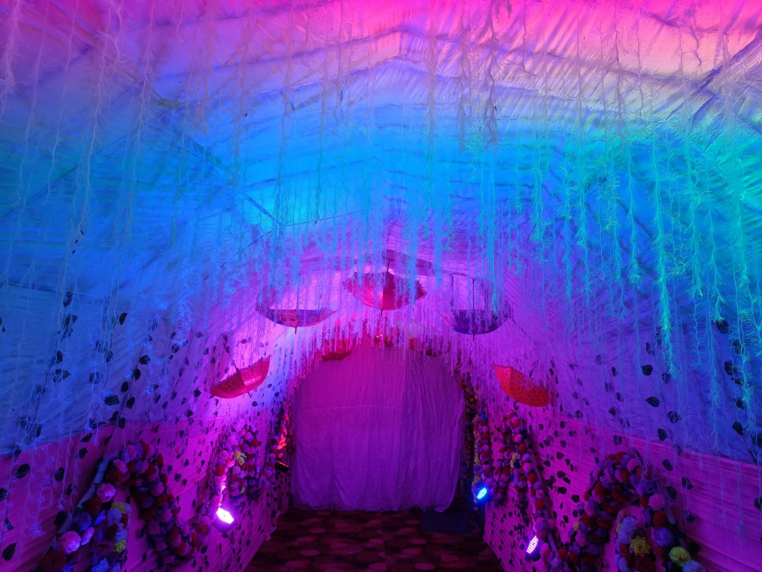 IMG20250212180510.jpg